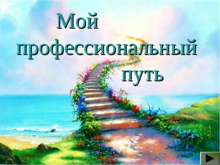 Мой профессиональный путь.